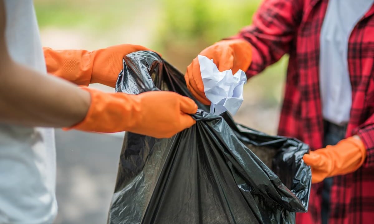    Фото freepik.com