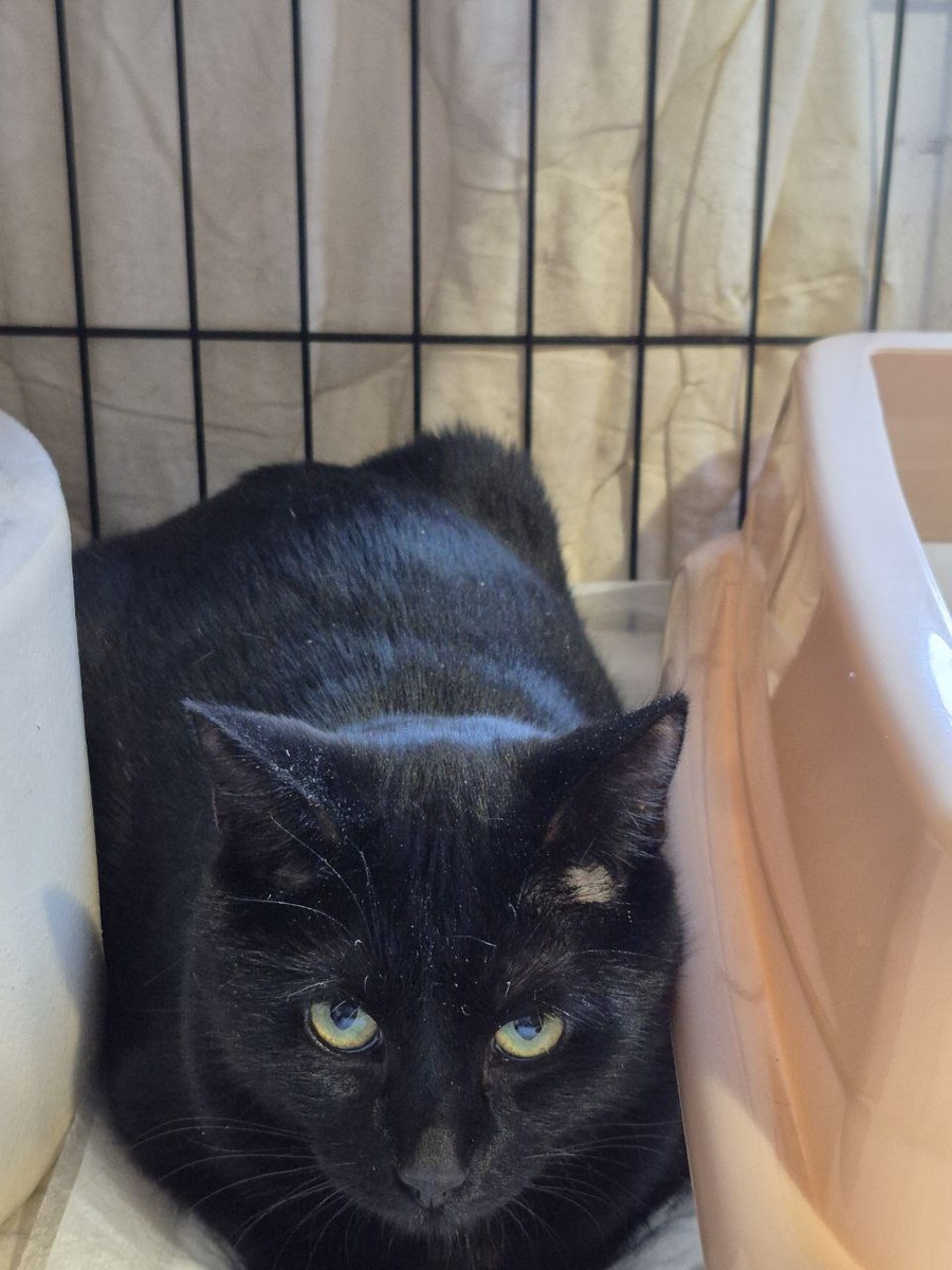 Вот и снова здравствуйте. Теперь уже по-другому поводу