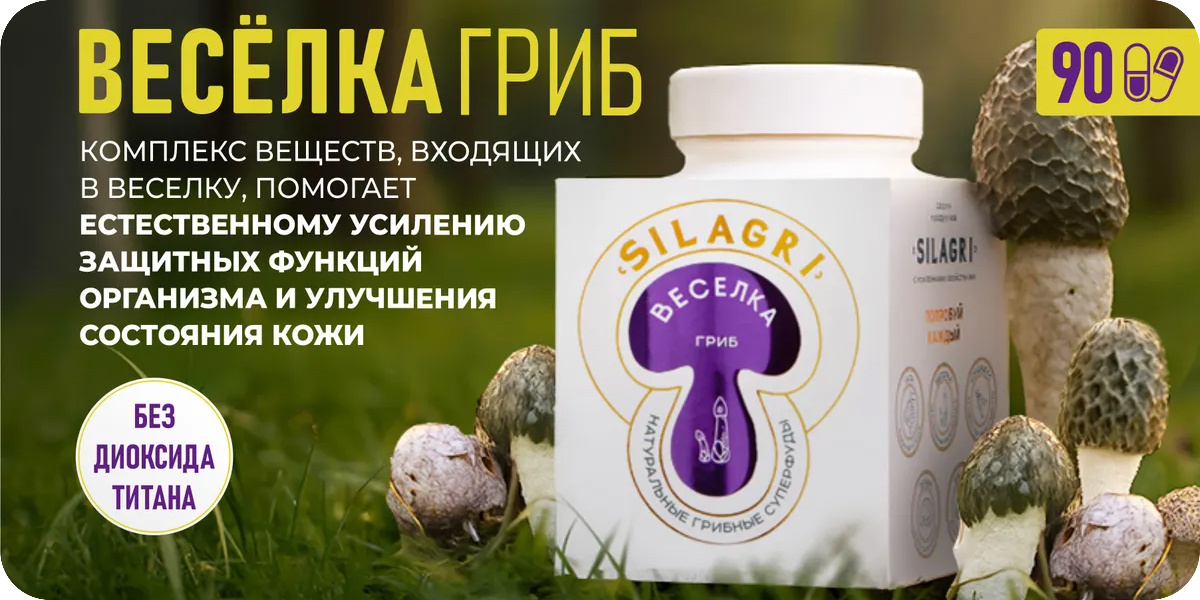 «Алтайский заготовитель»  Веселка гриб