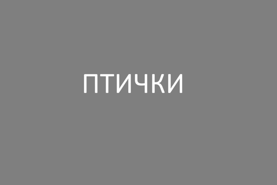 Птички - так бойцы на фронте называют БПЛА (Беспилотные Летательные Аппараты)