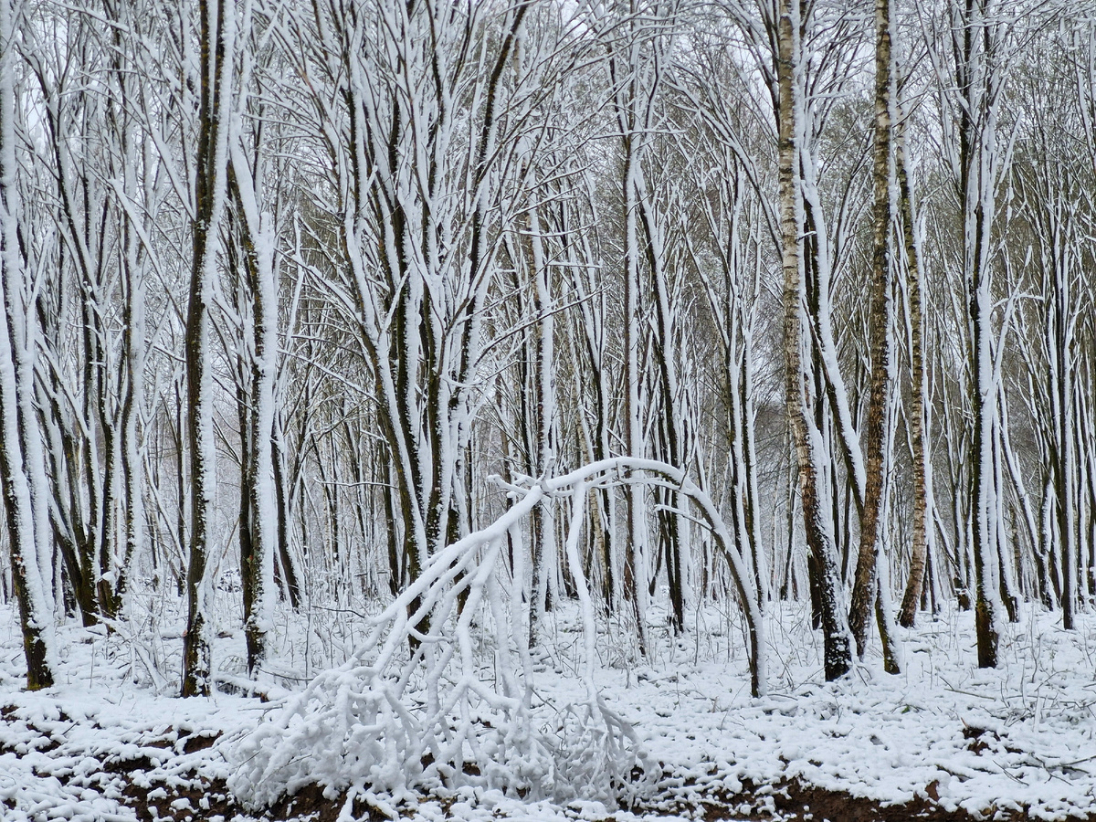 -2