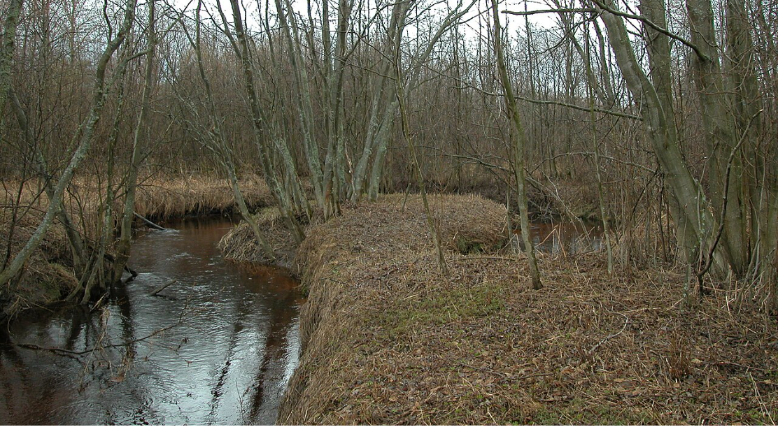 Река Коровка