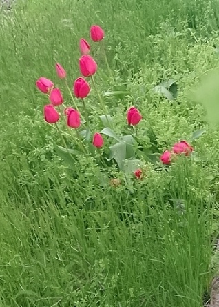 Фото из интернета