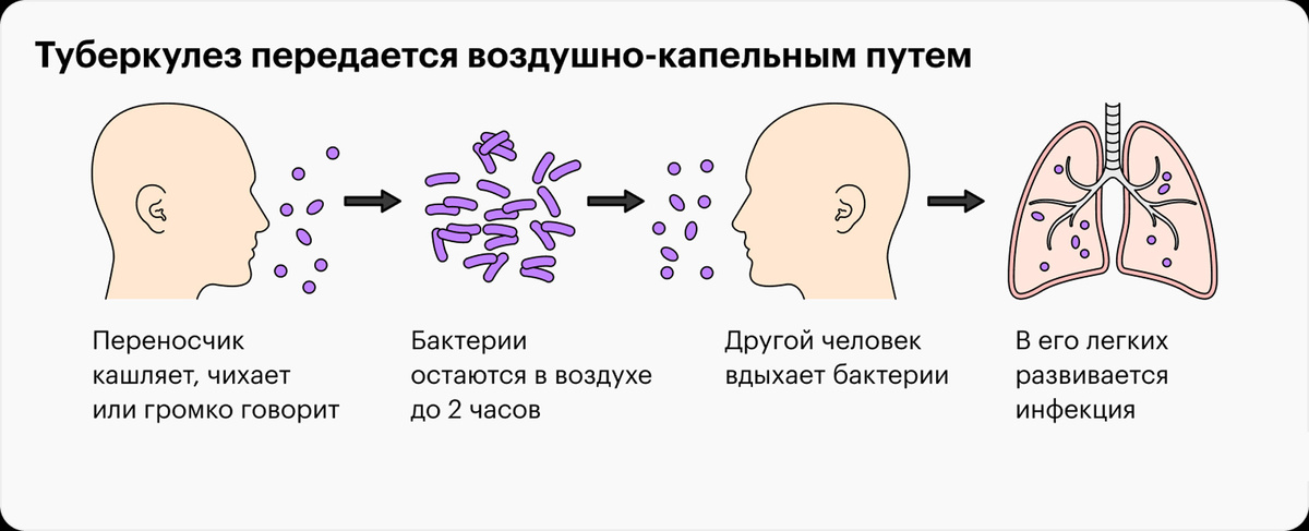 к передаётся туберкулёз