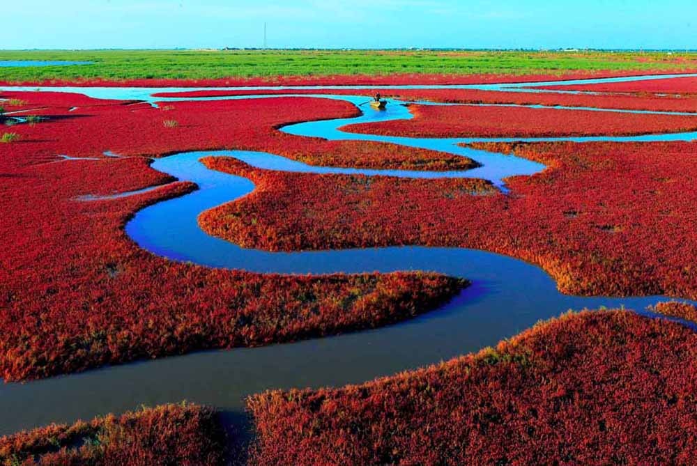 Красный пляж в Паньцзинь в Китае / Фото: gochina.ru
