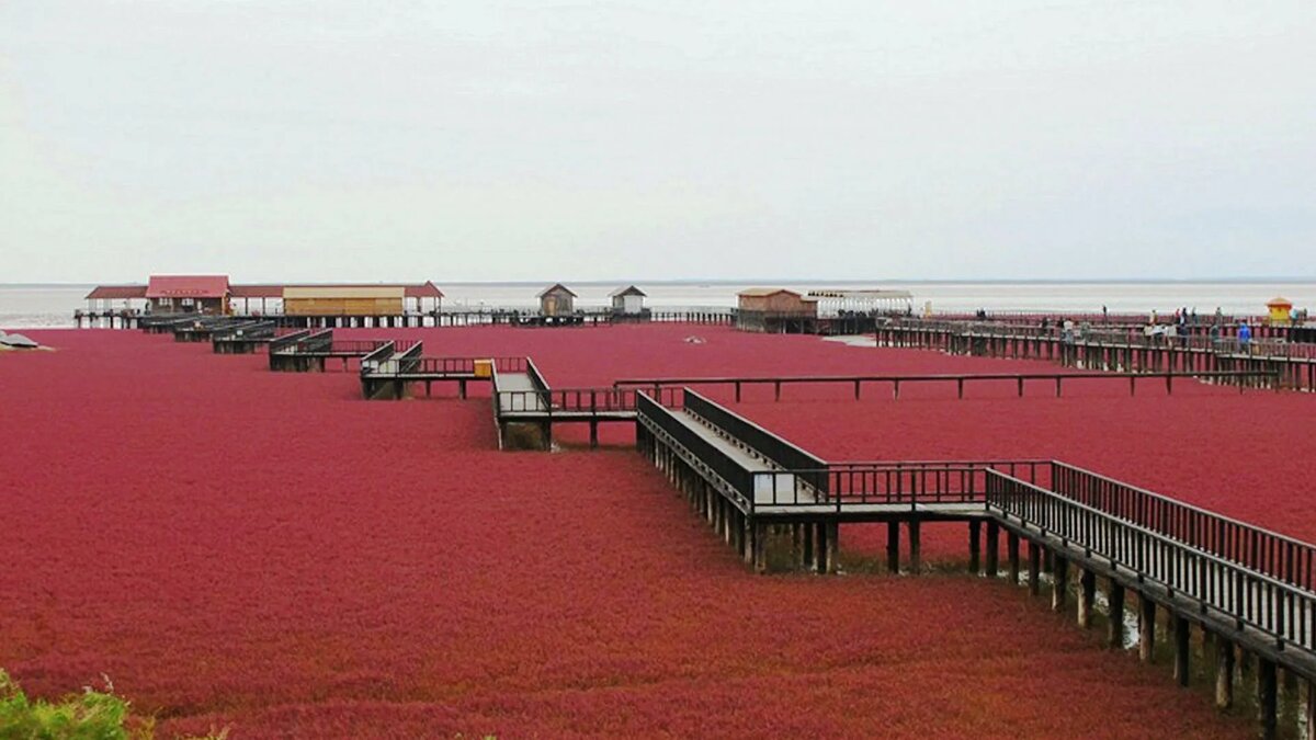 Пешеходная зона в / Фото: imgur.com