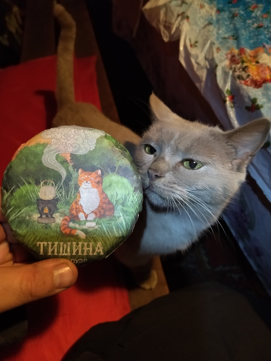 Котики, чай и мои планы попить чай в бане