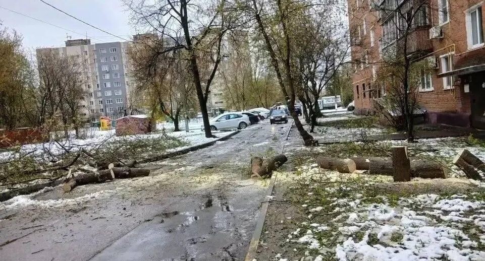    телеграм-канал администрации городского округа Домодедово