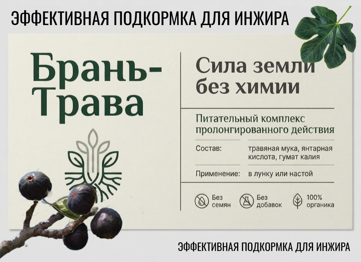 Супер подкормка для инжира Брань-трава