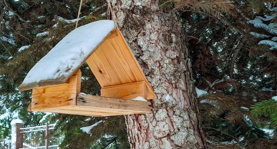    REGIONS/Юлия Габбасова