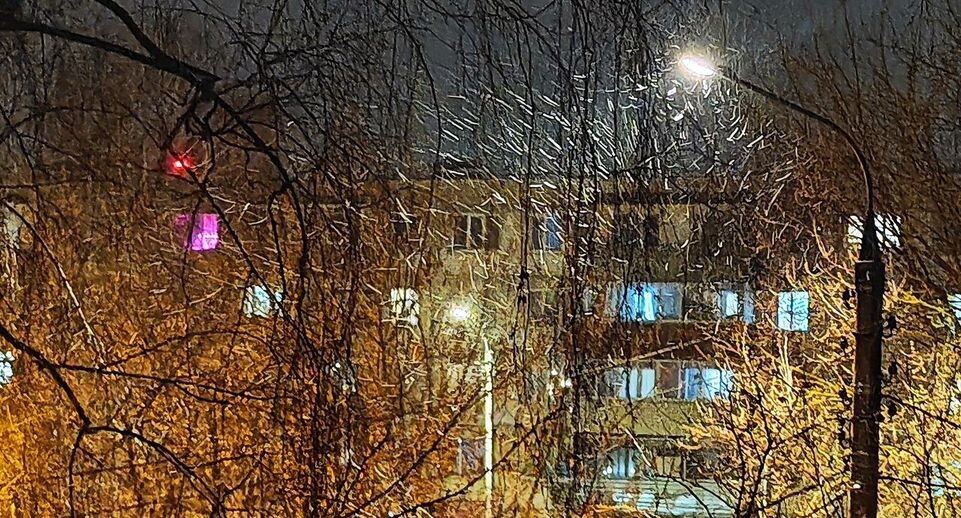    REGIONS/Алексей Селиверстов