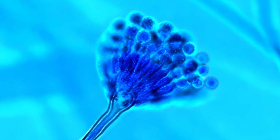 Возможно, мы "заразили" Марс земной жизнью