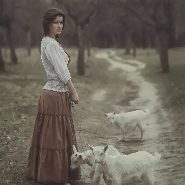 Взято из открытых источников интернета Яндекс.