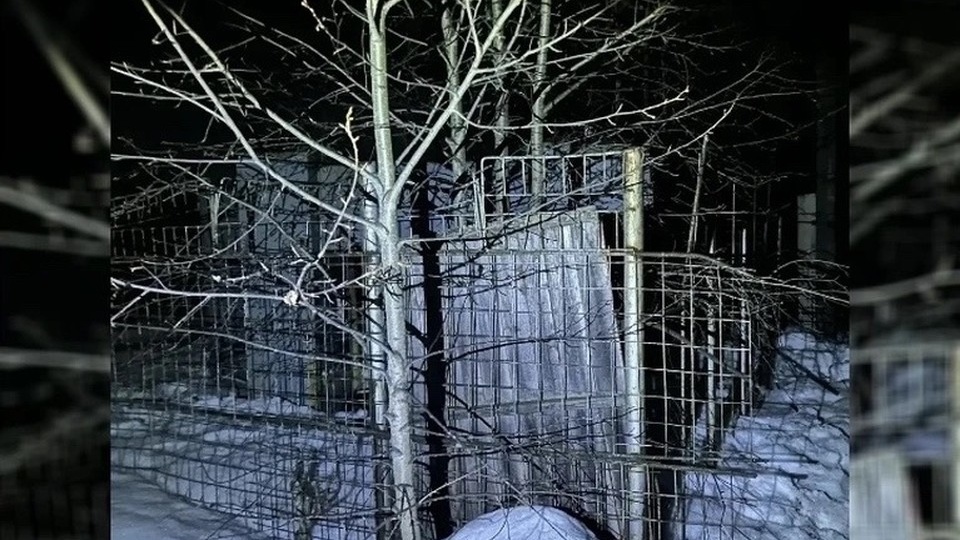 Стало известно о состоянии семилетнего мальчика, получившего на прогулке страшный удар током