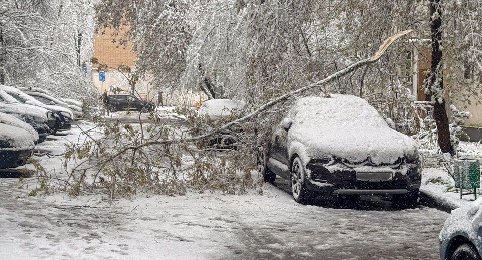    REGIONS/Владимир Ерастов