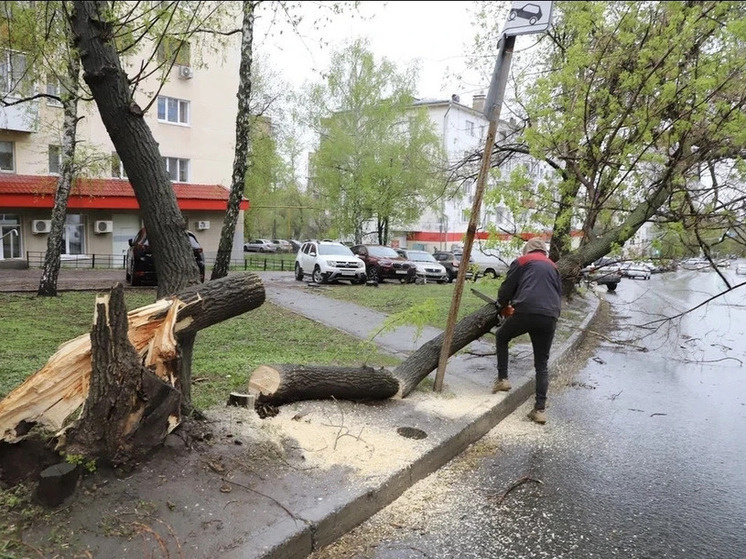    Фото: канал Ивана Носкова в МАКС