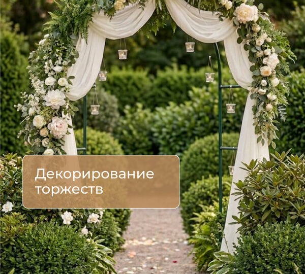 Поставил садовую арку 240 см — и мои розы создали зелёный тоннель