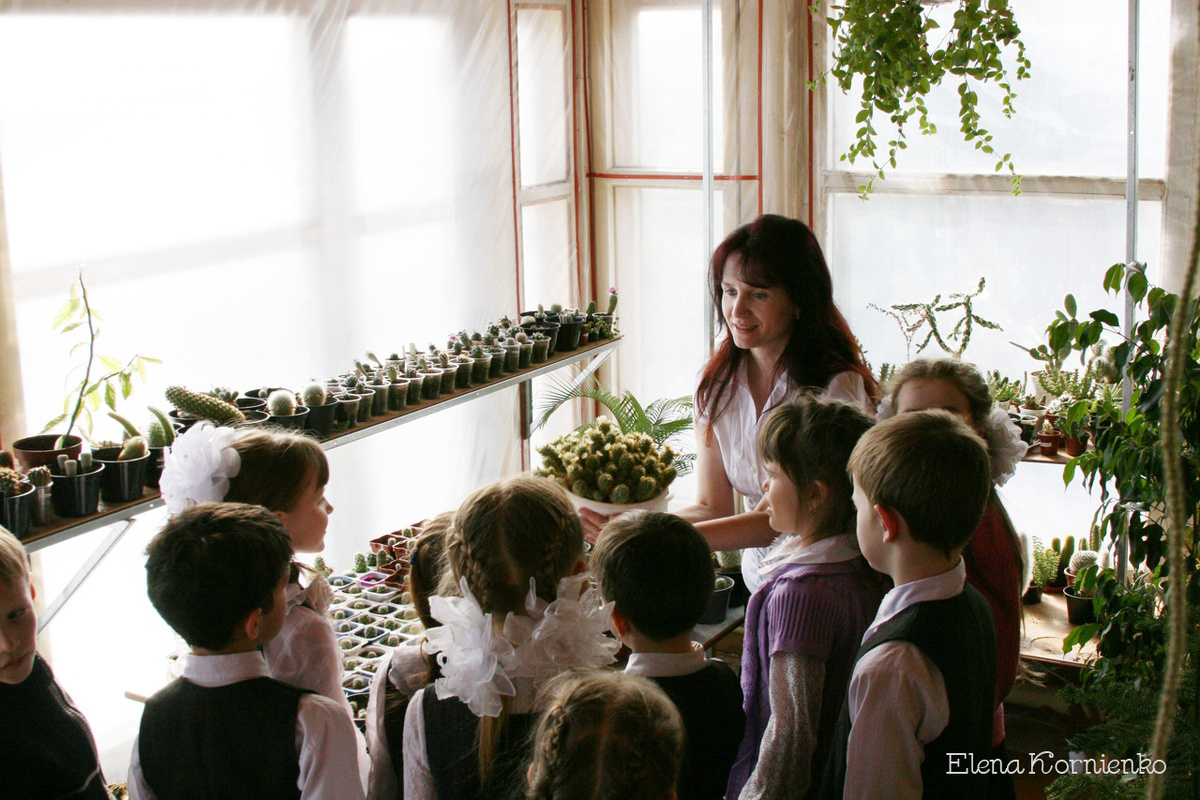 Знакомлю детей с кактусами и другими суккулентами.