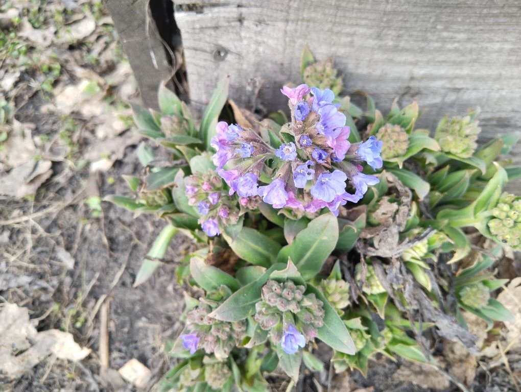 26.04.2026