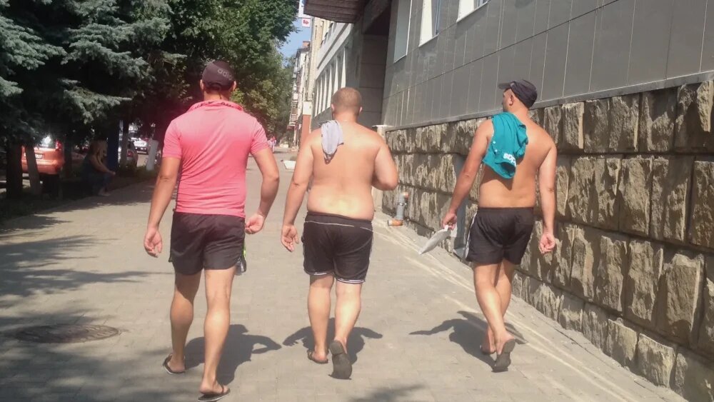    Фото: "Брянские новости"