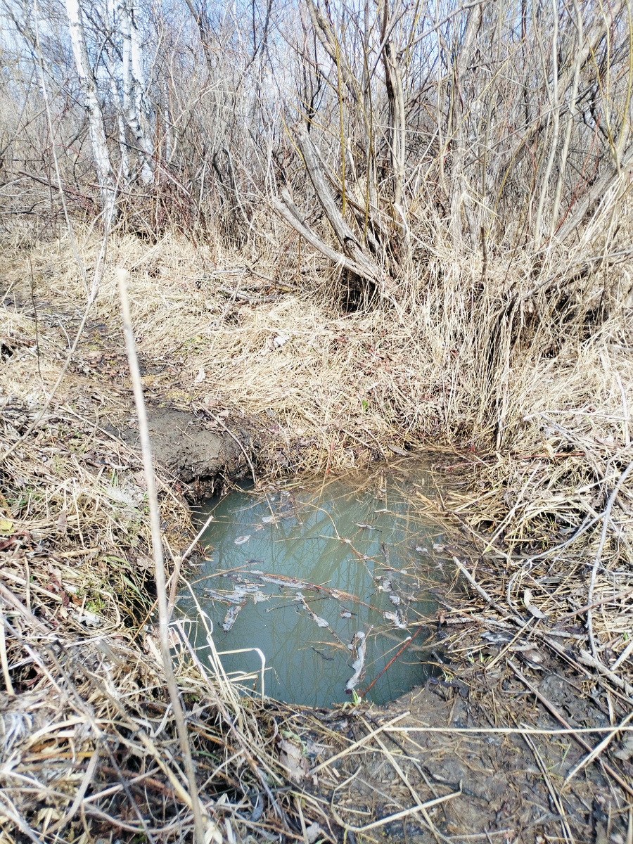 Какой цвет воды