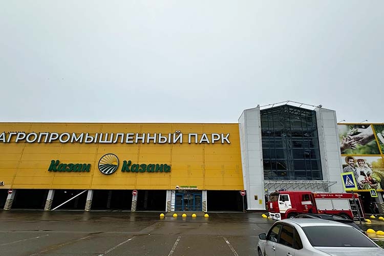    Машины перевозчика заметили на автомобильной парковке агропромышленного парка «Казань» и обочине соседней улицы Полушкина.   
Фото: Илья Зима