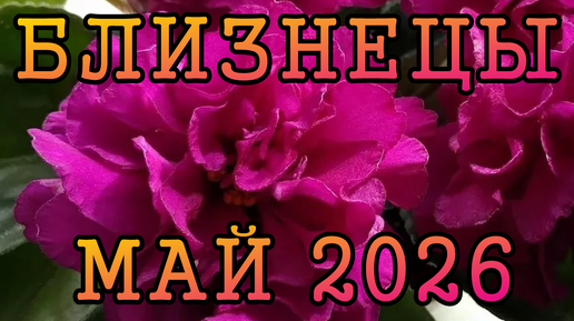 БЛИЗНЕЦЫ таро прогноз на МАЙ 2026 года.