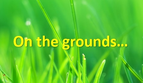 #Linking_words #On_the_grounds_that_or_on_the_grounds_of