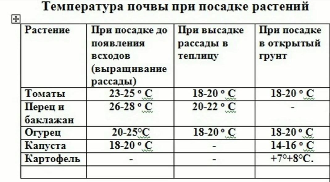 Температура почвы при высадке растений