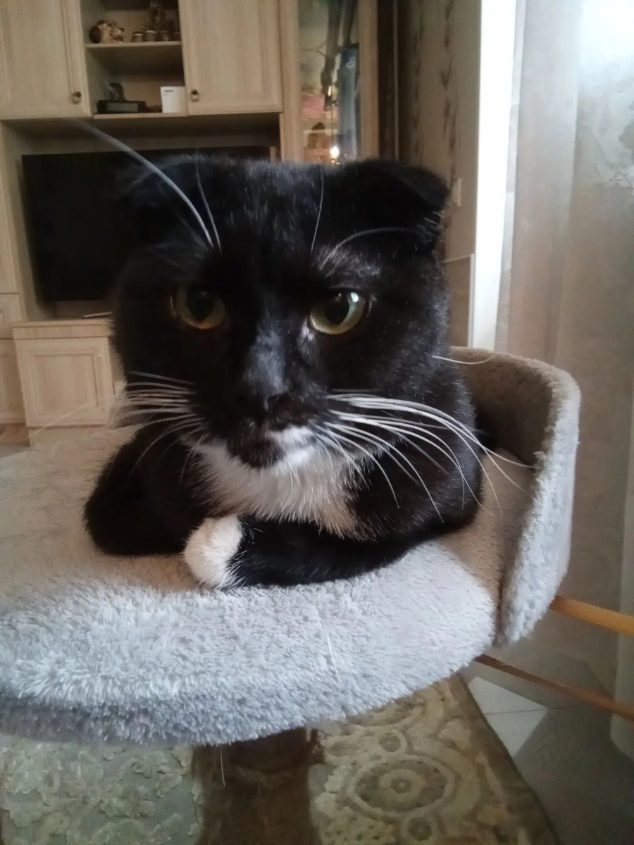 Никуда я не переезжал, я всегда тут жил