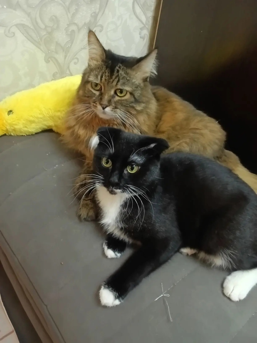 Вместе веселее