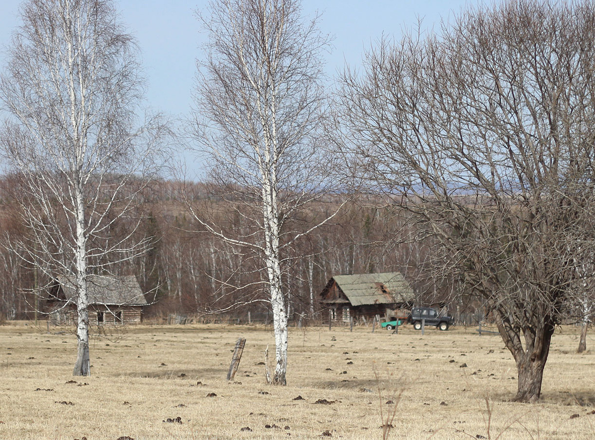 Ждем появления зеленого цвета в окружающей палитре и точим лопаты