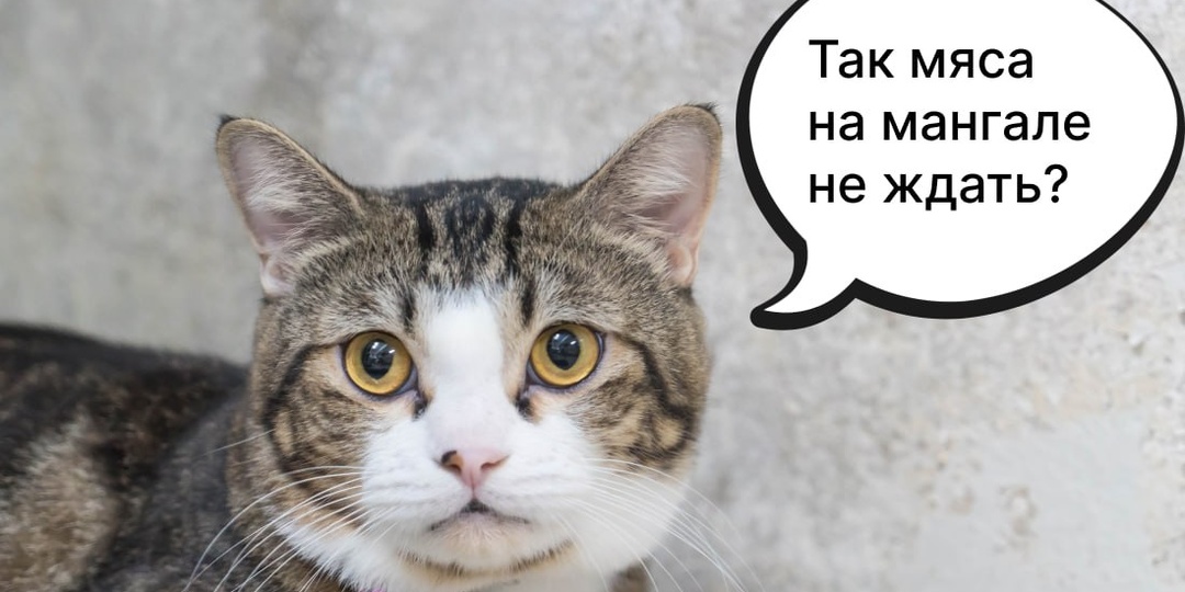 Только мороза не хватает