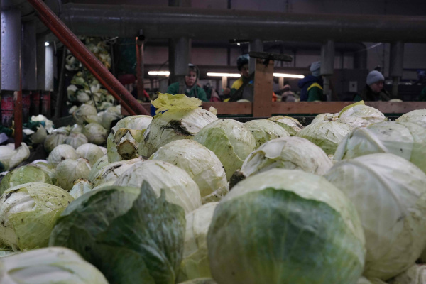 Народные приметы на 29 апреля 2026 года: что нельзя делать в этот день