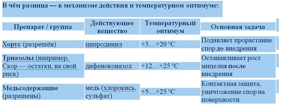  блица и фото Натальи Мироновой
