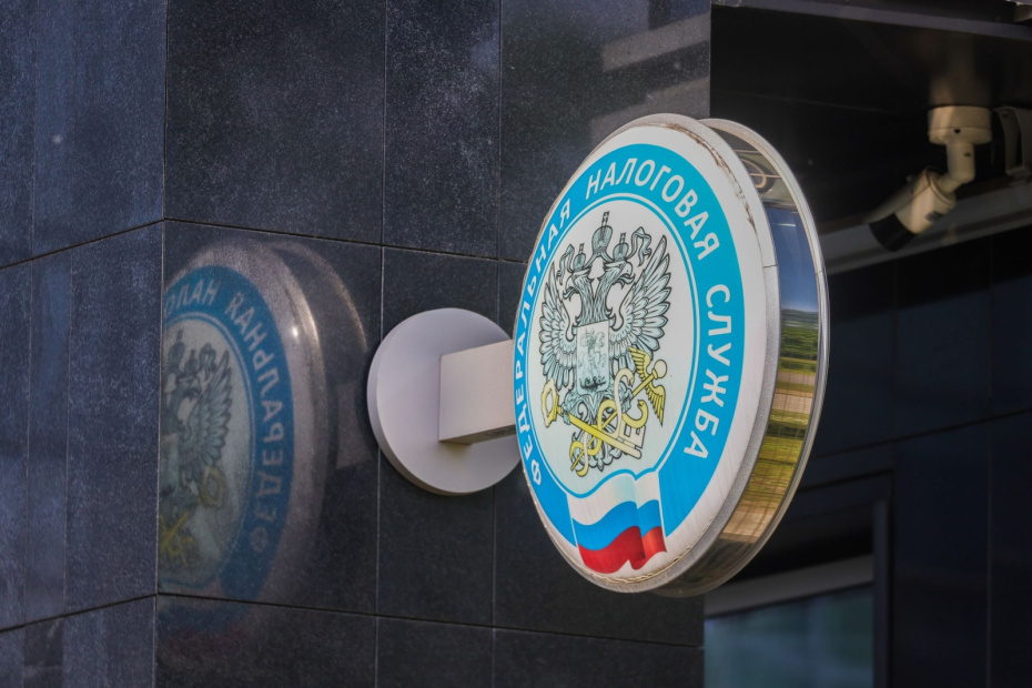    Наталья Шатохина/NEWS.ru