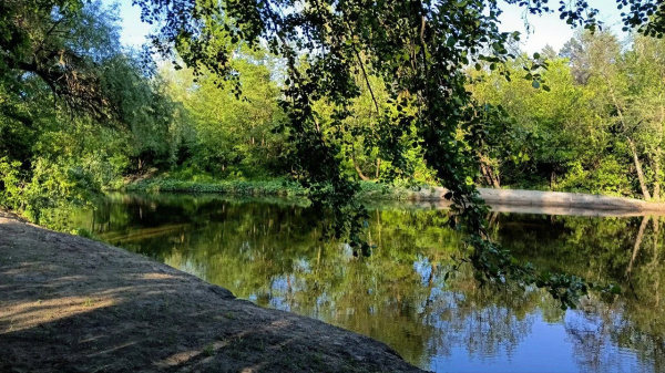 В Камышле в 2026 году благоустроят Горный родник