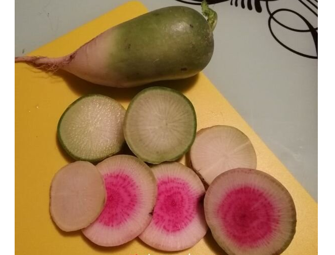 Редька зеленая: Маргеланская и Внучка (розовая), фото автора