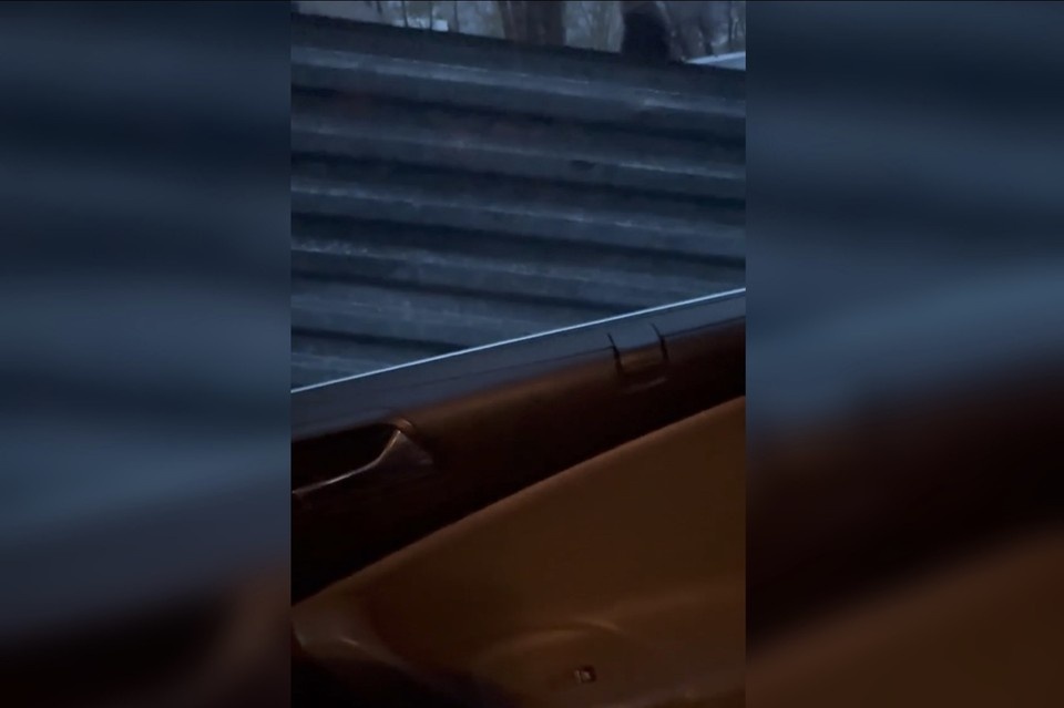    Женщина с ребёнком успели спрятаться в салон автомобиля. Фото: vk.ru/truesamara