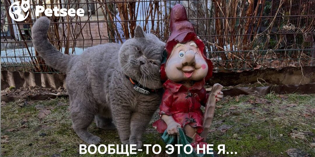 Почему у одних дома пахнет «кошкой», а у других свежестью?