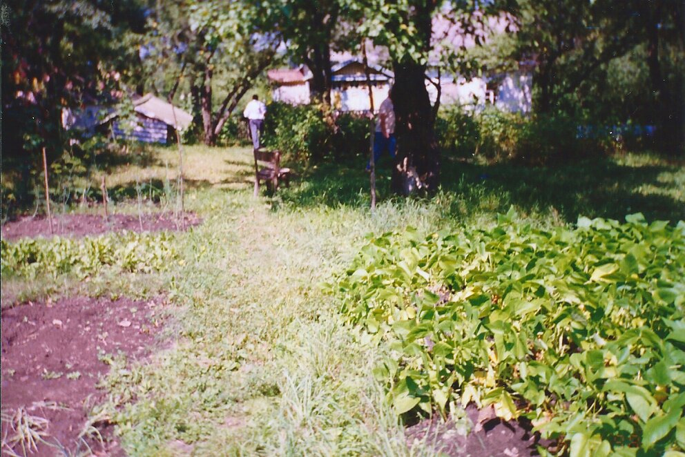 Вид со стороны сада. Снимок 2001 года