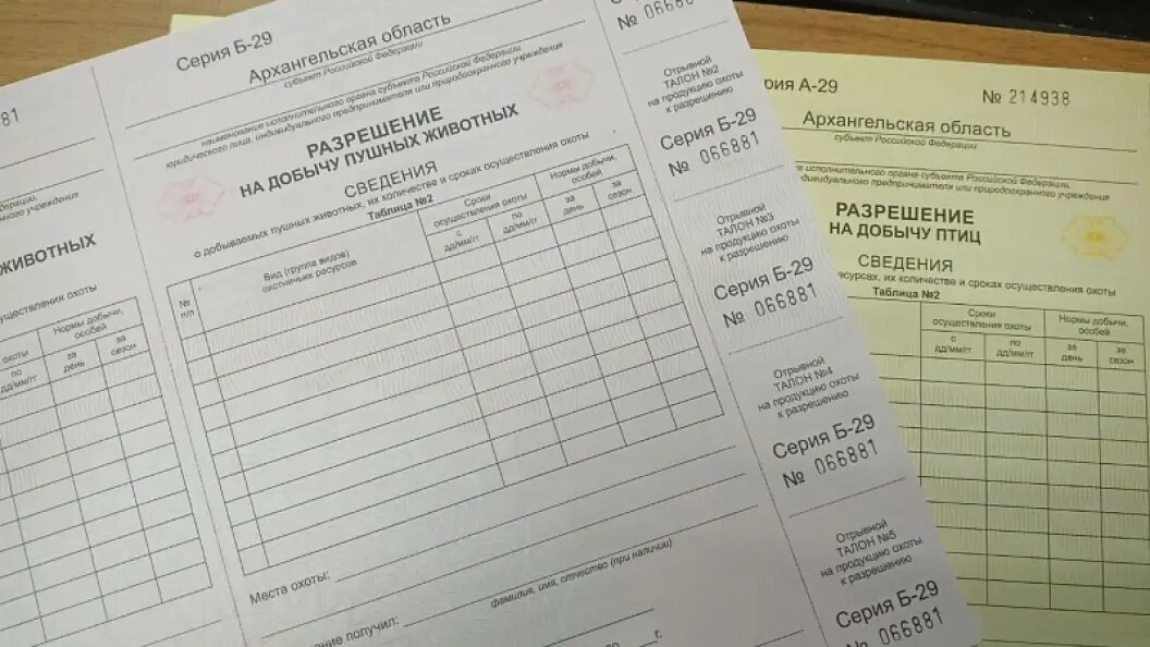    Фото: министерство природных ресурсов и ЛПК Архангельской области