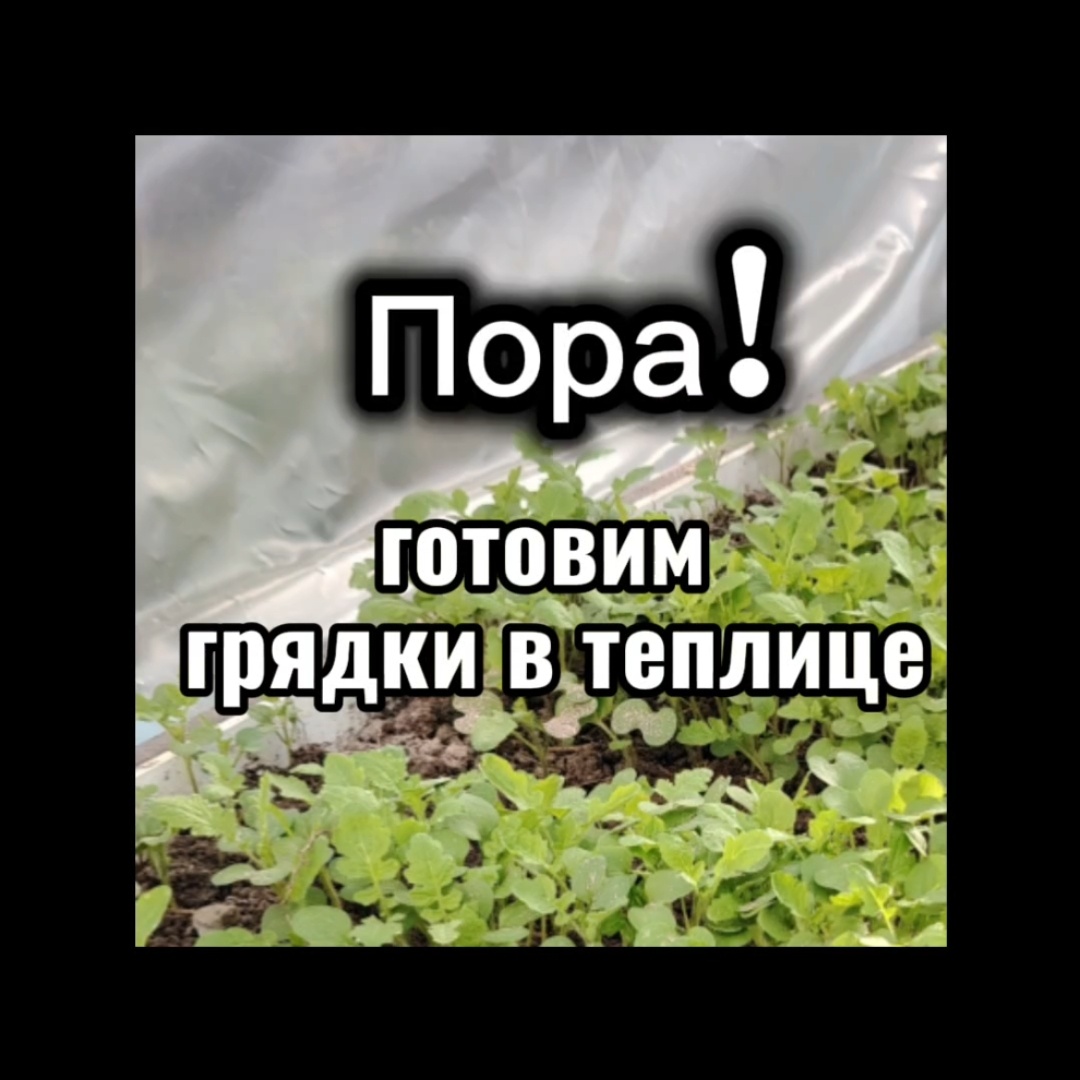 Пора готовить идеальные грядки для томатов, перцев и огурцов