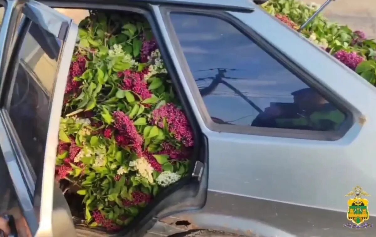    Скриншот видео пресс-службы ГУ МВД России по Краснодарскому краю