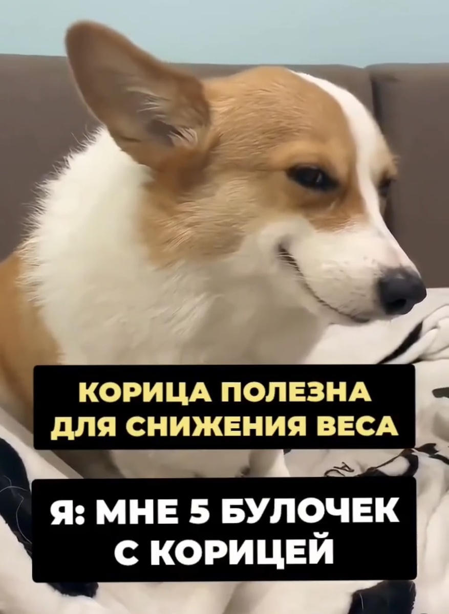 Я.Картинки