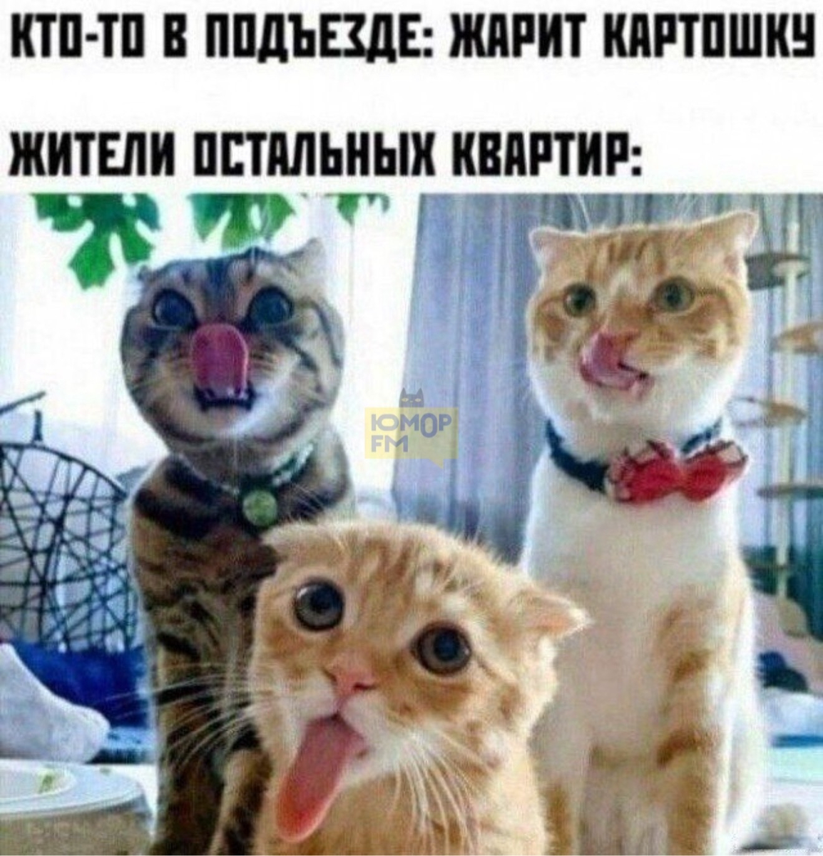 Я.Картинки