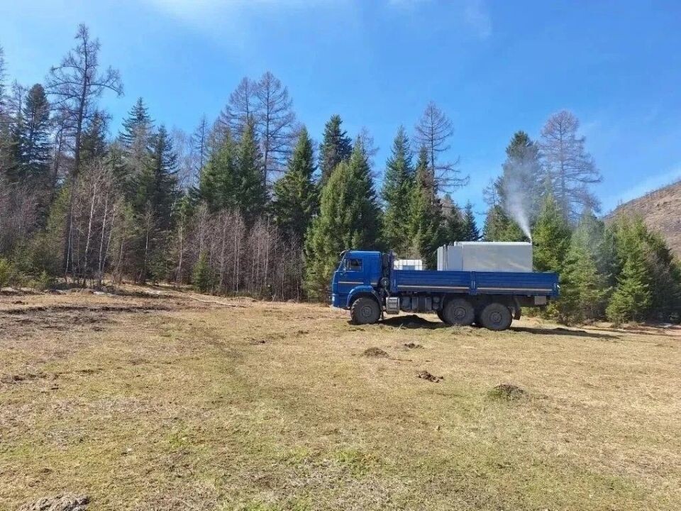    Республика Алтай. Лес. Источник: Минприроды Республики Алтай
