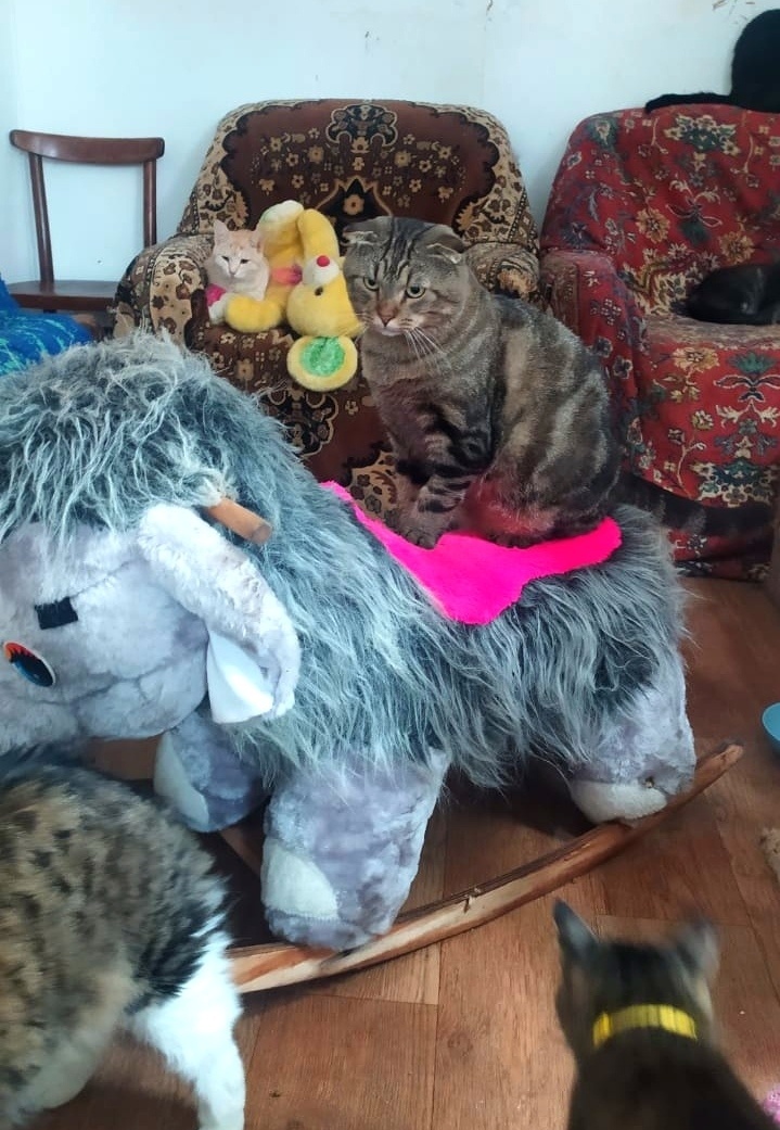 -2