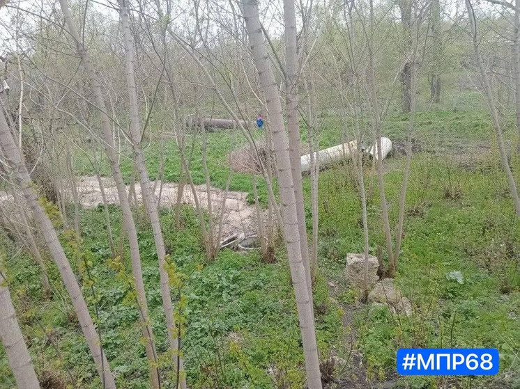     Министерство экологии Тамбовской области