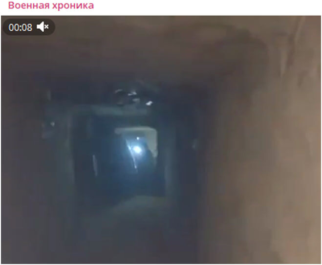 Скрин видео